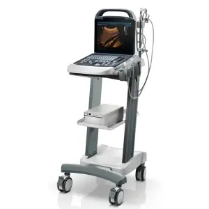UMY DP-10 Digital Ultrasonic Diagnostic Imaging System Powerful B/W System Ultrasound Machine With Full Screen