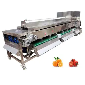 Industrial Fruit Visual Sorting Machine Grape Orange Tomato Date Inspection Sorting Machine