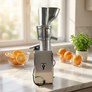 Fresh Fruit Apple Juice Extracting Machine Small Juicer Press Machine Orange Juice Squeezer Machine