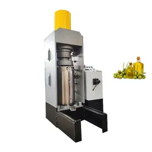 Commercial Oil Extrator Cold Press Mustard Corn Avocado Moringa Seed Oil Extraction Machine
