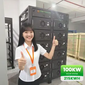 Custom ESS 215kWh 430kWh 1MWh 20ft 40ft Lifepo4 Battery Generator Bess Industrial and Commercial Energy Storage Container System