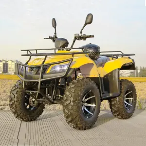 Unility Farm Use ATVs 4000W 72V Electric ATVs Quad Bikes with Lithium Battery special transportation