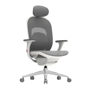 Top Ranking Supplier Quick Shipping Ergonomic Swivel Luxury Mesh Office Chair