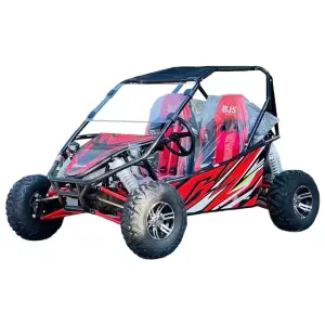 Off-road Buggy Kart Jinlang 200cc 4 Stroke Oil Cooled All Terrain Vehicles 2 Seater Go Kart Quad