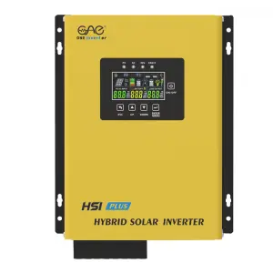 Hot Sale HSI 12v 24v 1000W 1200W Power Inverter Solar Lithium Ion Batteries Inverter 1Kw 1.2Kw