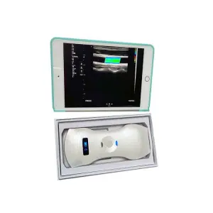 3 in 1 Color Doppler Ultrasound Scanner 192 Elements Phased Array Cardiac, Linear & Convex Probe With Free Handbag
