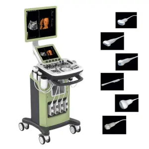3D/4D Digital Color Doppler System Trolley Ultrasound