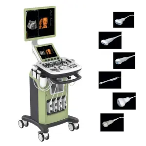 Zoncare 3D/4D Trolley Medical Digital Color Doppler Ultrasound System for Hospital