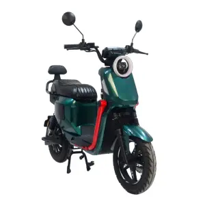 China 350W/500W Electric Bike for Adults 48V Lead Acid Battery Two Seat LED Halo Headlight City Ebike Scooter with Pedal