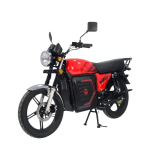 2026 New Arrival 60KM Long Distance 48V 20Ah Lithium Battery 1000W Electric Motorcycle City Commuter Two Seater E-bike Scooter