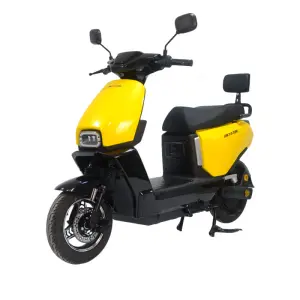 Factory Adult 2 Person Front Hub Motor Steel Frame Digital Control 60km Range High Speed City Use Leisure Electric Bicycle Ebike