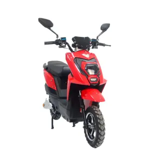 2026 Hot Selling Long Range Adult Electric Touring Motorcycle with 1000W-2000W Motor for City Urban Commuting Delivery E Bike