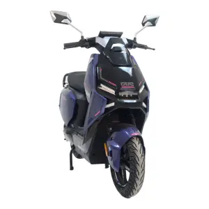 Best Seller 1500W Long Range City Commuting High-Power Delivery 250kg Load Capacity City Electric Moped E-bike Electric Scooter
