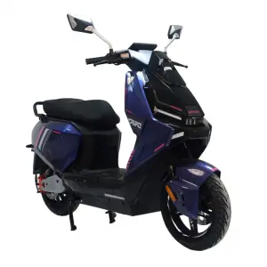 Hot Selling Dual Seat Long Range 60V24AH 1000W OEM Adult Electric Scooter City Commuter Electric Motorcycle