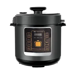 2025 New Design Electric Programmable Pot Electric Rice Pressure Cooker With Overheat Protection