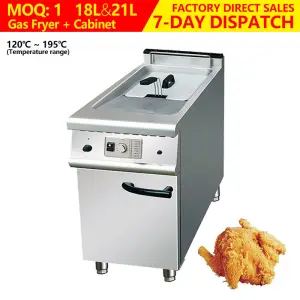 Single 21 Liter Commercial Gas Fryer Machine Stainless Steel Potato Chicken Oil Frying Pan Professional Restaurant