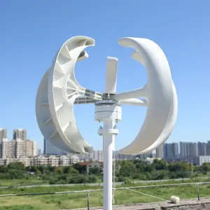 1000W 12V 24V Maglev Vertical Axis Wind Turbine Generator with MPPT Charge Controller for Home System
