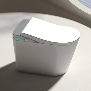 Automatic Wc Sanitary Ware Water Closet Toilet Bowl Floor Mounted Luxury Ceramic Bathroom Intelligent Smart Toilet Commode