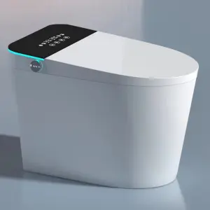 Intelligent Sanitary Ware Water Closet Bathroom Ceramic Floor Mounted Automatic Toilet Bowl Inodoro Smart Toilet With Bidet