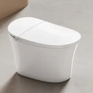 Special Design Intelligent Sanitary Ware Hot Sale Water Closet Bathroom Automatic Floor Mounted WC Smart Toilet Bowl