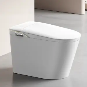 UV Spray Styrilization Intelligent Ceramic Sanitary Ware Automatic Water Closet Bathroom One Piece Smart Toilet Bowl