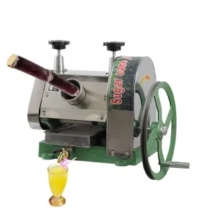 New CHANG QING Stainless Steel Sugar Cane Mill & Production Line 220V 1 Year Warranty 370W Restaurant Use for Juice