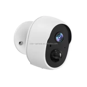 Built-in Battery Slot TF Card Slot Tuya APP Alexa Google Home Assistance Indoor Wifi CCTV IP Camera