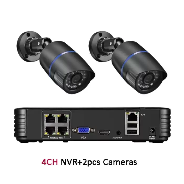4CH NVR and 2 Camera
