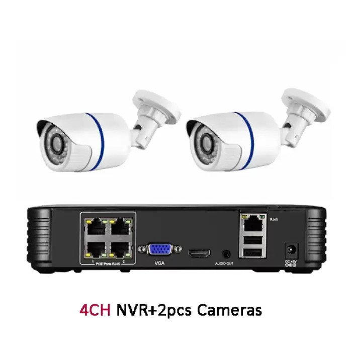 4CH NVR and 2 Camera