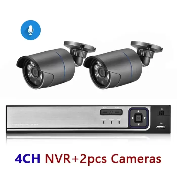 4CH NVR and 2 Camera