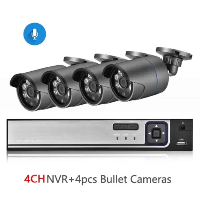 4CH NVR and 4 Camera-1254