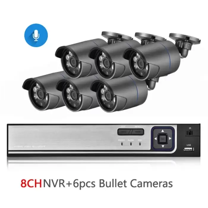 8CH NVR and 6 Camera-200004891