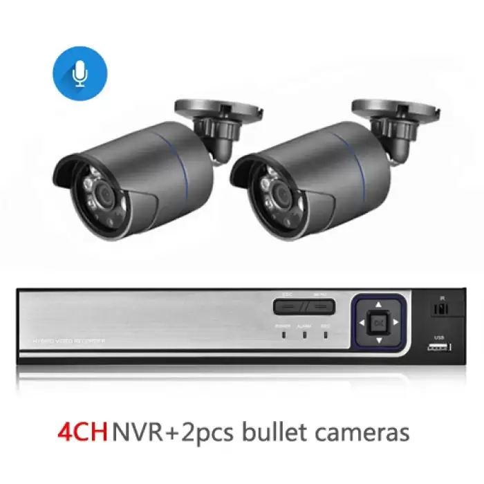 4CH NVR and 2 Camera-691