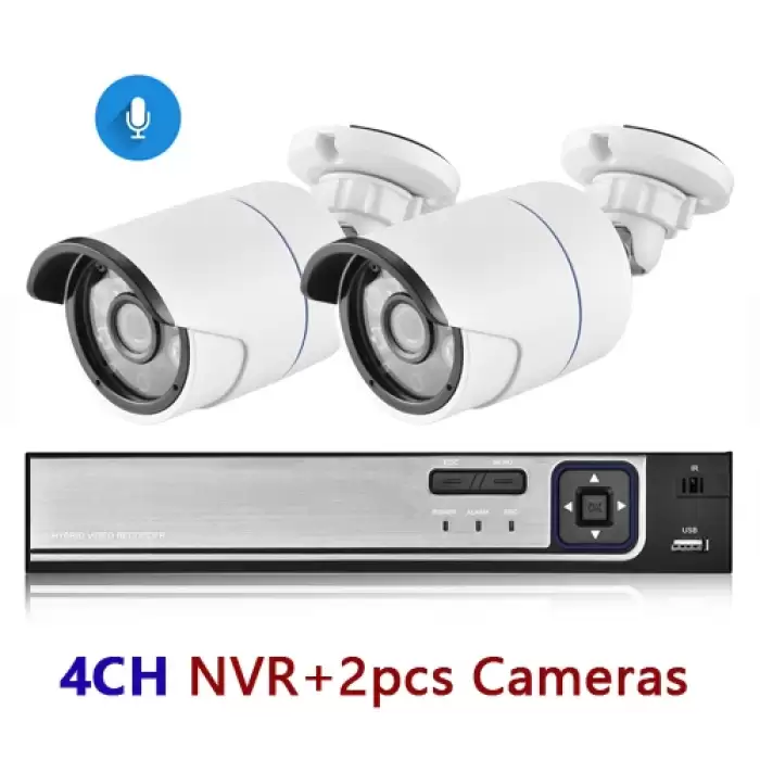 4CH NVR and 2 Camera