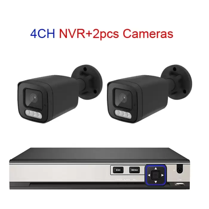 4CH NVR 2pcs Cam