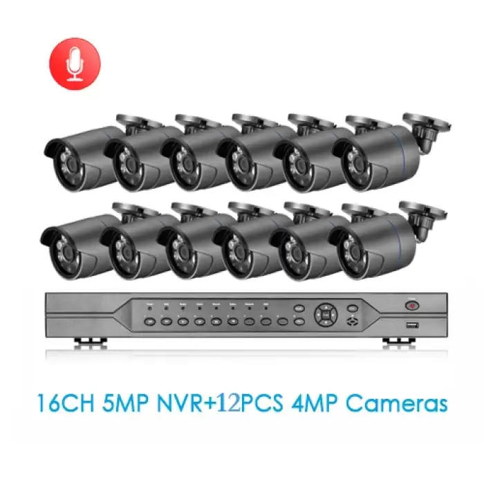 NVR and 12pcs Camera
