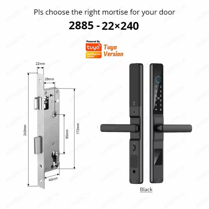 blac2885-Long